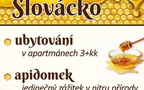 Penzion Slovácko 2